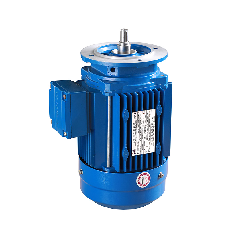 YE2系列高效率三相異步電動(dòng)機(jī)