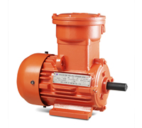 YB3 SERIES EXPLOSION- PROOF THREE-PHASE ASYNCHRONOUS MOTOR
