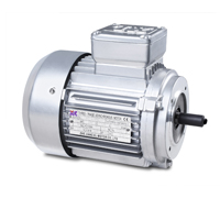 YS SRIES(IP54) SMALL POWER THREE-PHASE ASYNCHRONOUS MOTOR