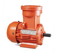 YB3 SERIES EXPLOSION- PROOF THREE-PHASE ASYNCHRONOUS MOTOR
