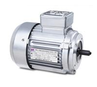 YS SRIES(IP54) SMALL POWER THREE-PHASE ASYNCHRONOUS MOTOR
